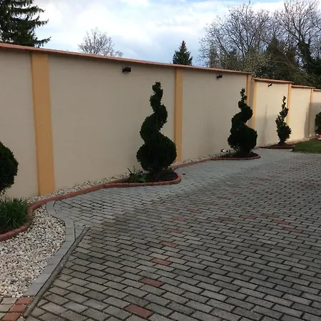 Gyenesi Virag *