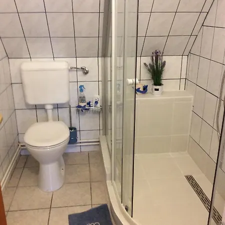 Gyenesi Virag *